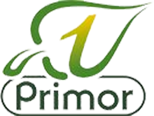 Primor
